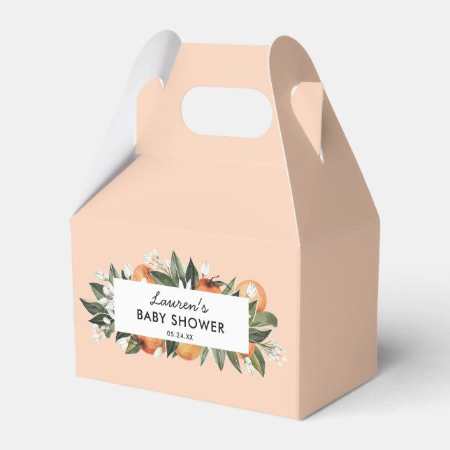 Caja Para Regalos Chupete De Citricos Para Baby Shower (Front Side)