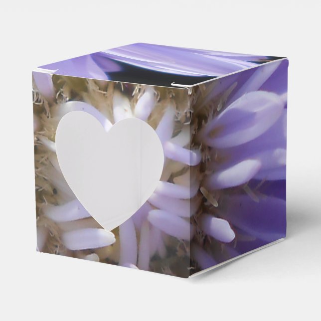 Caja Para Regalos Cirene (Anverso)