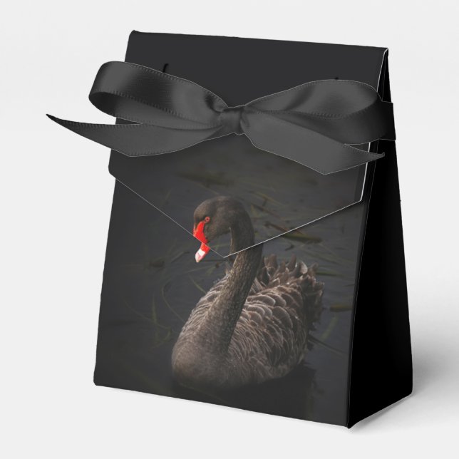 Caja Para Regalos Cisne negro (Front Side)