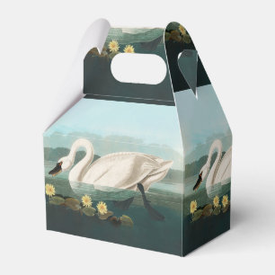 Caja Para Regalos cisnes de agua blanca de cisne audubon