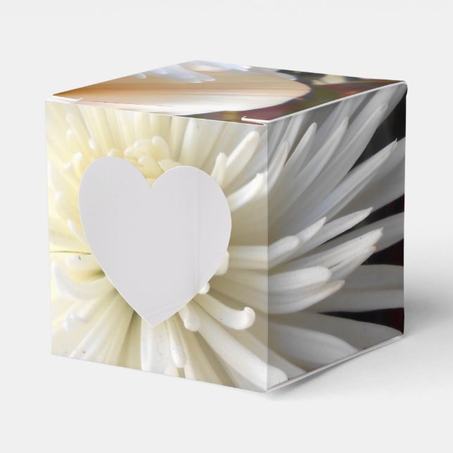 Caja Para Regalos Claicia (Anverso)