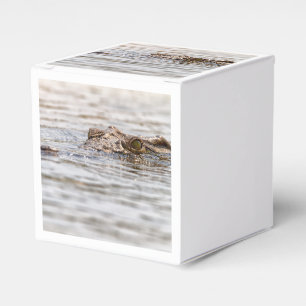Caja Para Regalos Cocodrilo del Nilo