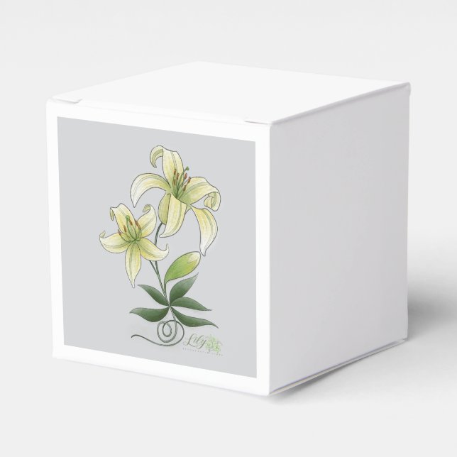 Caja Para Regalos Cojín decorativo (Costado Anverso)