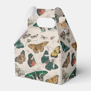 Caja Para Regalos Colección de mariposa Mariposas antiguas
