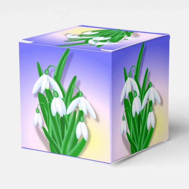 Caja Para Regalos Colirio de nieve (Costado Anverso)