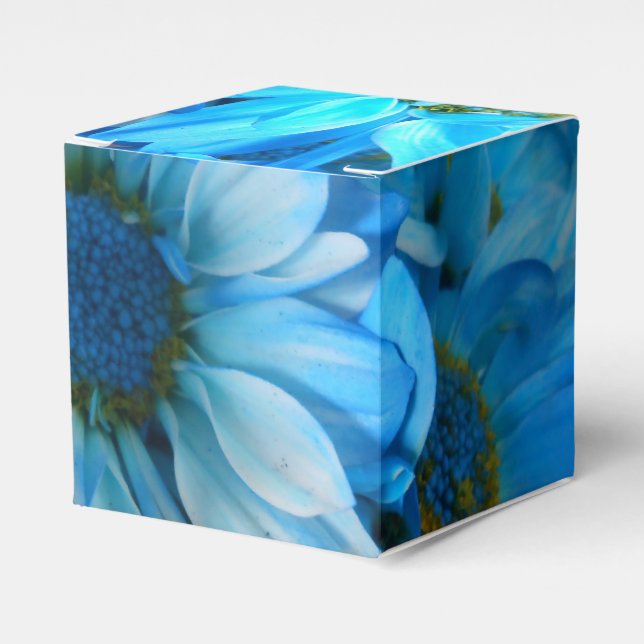 Caja Para Regalos Collaert (Costado Anverso)