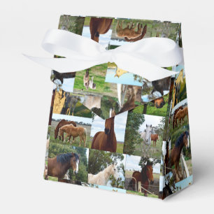 Caja Para Regalos Collage de fotos de caballo,