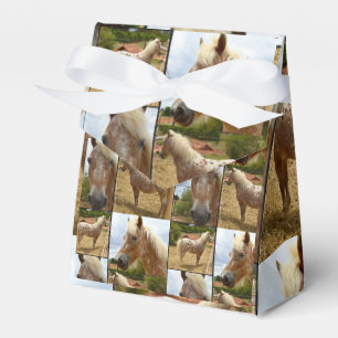 Caja Para Regalos Collage de fotos de caballos de Appaloosa, regalo