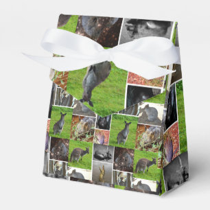 Caja Para Regalos Collage de imágenes de vida salvaje australiano,