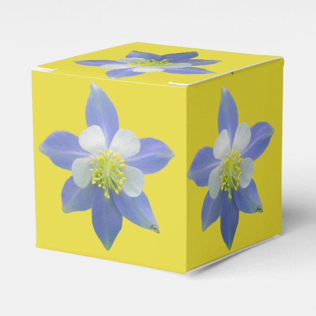 Caja Para Regalos Columbina 2 (Costado Anverso)