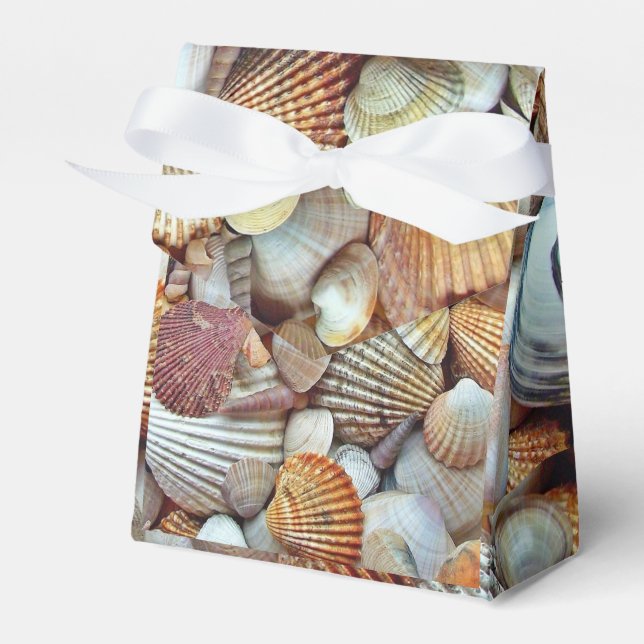 Caja Para Regalos Conchas de mar (Front Side)