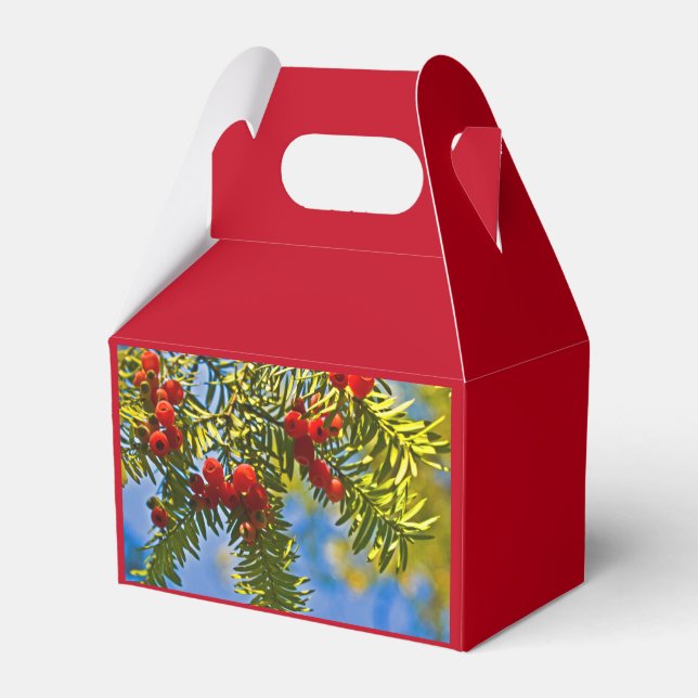 Caja Para Regalos Coníferas festivas (Reverso)