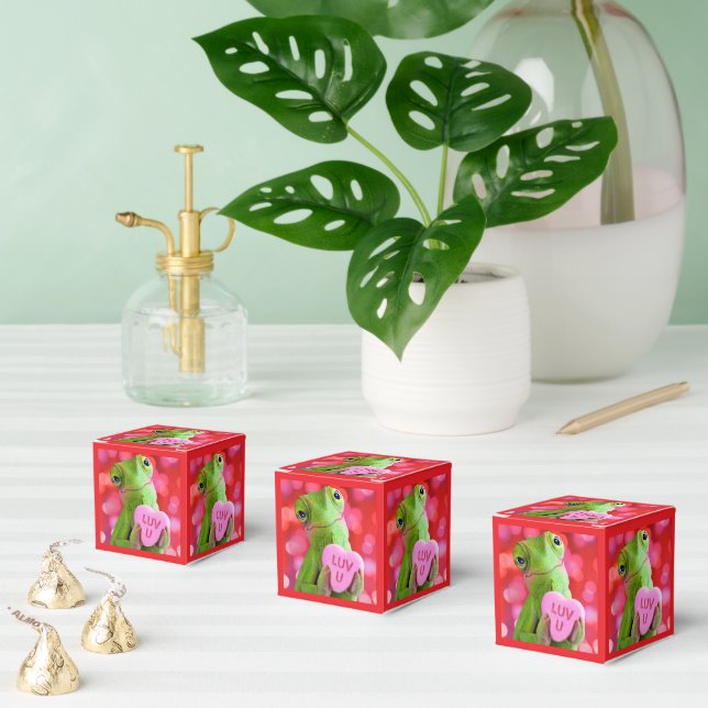 Caja Para Regalos Corazón de Camaleón (Te Amo) (Múltiple)