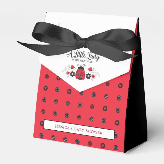 Caja Para Regalos Cuidada Pequeña Dama Ladybug Baby Shower (Front Side)