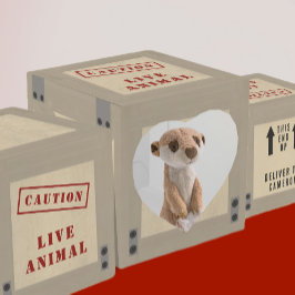 Caja Para Regalos Cumpleaños de la Jungla Zoológica de Crate Animal