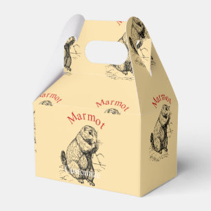 Caja Para Regalos Cute Marmot Animal Thunder_Cove