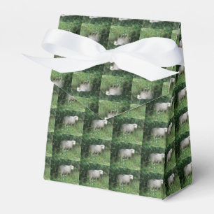 Caja Para Regalos Cuto blanco Fluffy Oveja Comer Favor Box
