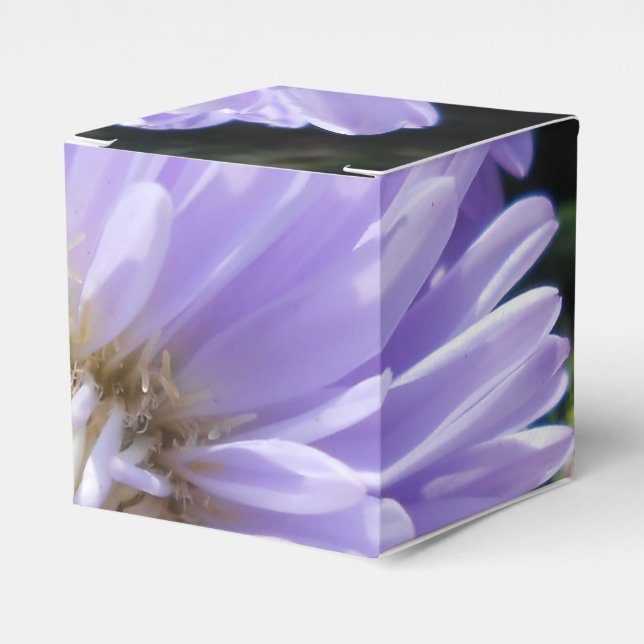 Caja Para Regalos Cyrene (Costado Anverso)