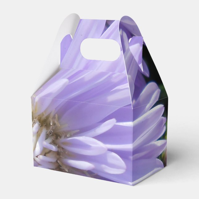 Caja Para Regalos Cyrene (Front Side)