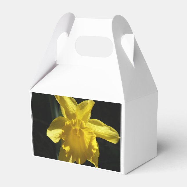 Caja Para Regalos Daffodil perfecto (Front Side)