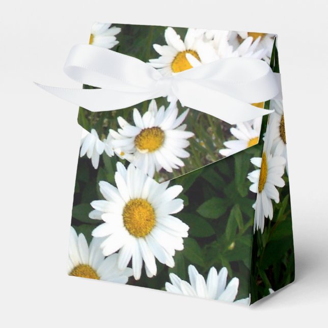 Caja Para Regalos Daisy Delight Favor Box (Front Side)