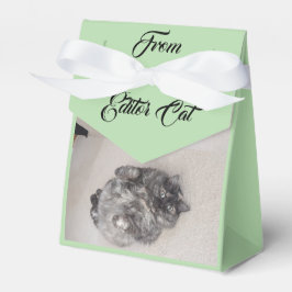 Caja Para Regalos Del editor Cat de RoseWrites Favor Box