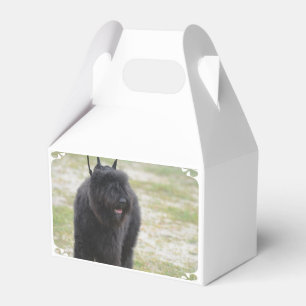 Caja Para Regalos DES Flandes de Bouviers