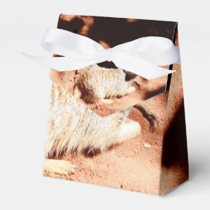 Caja Para Regalos Descubrimientos polvorientos: Meerkat con suciedad