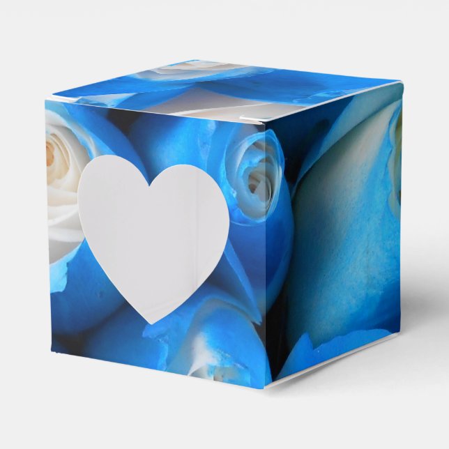 Caja Para Regalos Diemudis (Anverso)