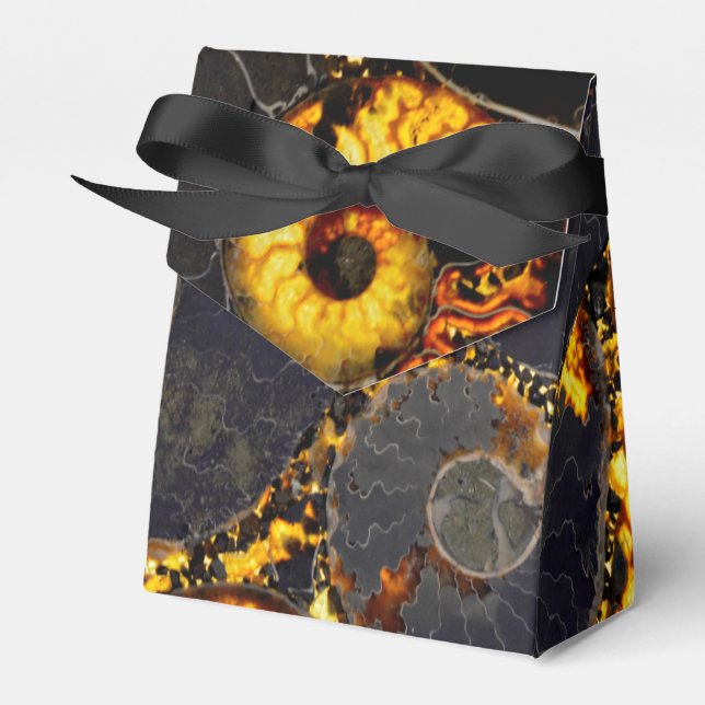 Caja Para Regalos Diseño de cáscara de Nautilus (Front Side)