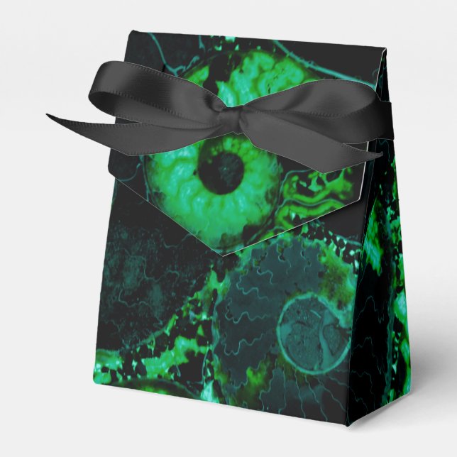 Caja Para Regalos diseño verde de concha de nautilo (Front Side)