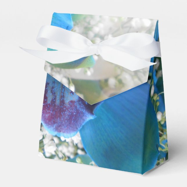 Caja Para Regalos Donella (Front Side)