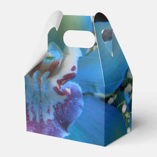 Caja Para Regalos Donella (Front Side)