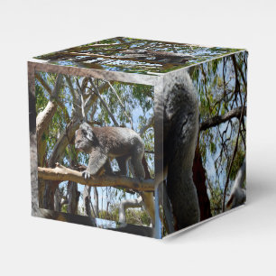 Caja Para Regalos El Gran Hombre Koala Oso Caminando Por La Rama,