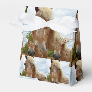 Caja Para Regalos "El hurto del azúcar: la gracia de los Appaloosa"