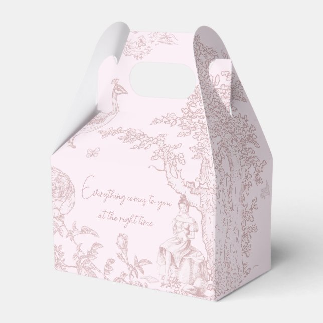 Caja Para Regalos Elegante Baby Shower rosado de Jouy Picnic (Front Side)