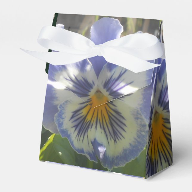 Caja Para Regalos Eloise (Front Side)