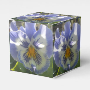 Caja Para Regalos Eloise