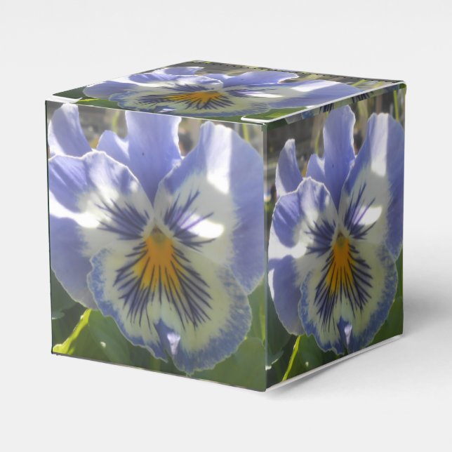 Caja Para Regalos Eloise (Costado Anverso)
