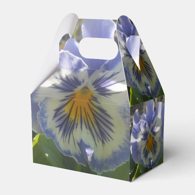 Caja Para Regalos Eloise (Front Side)