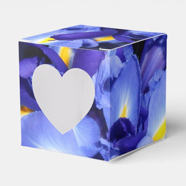 Caja Para Regalos Ermengarda (Anverso)