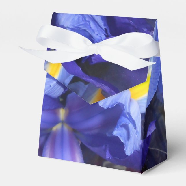 Caja Para Regalos Ermengarde (Front Side)