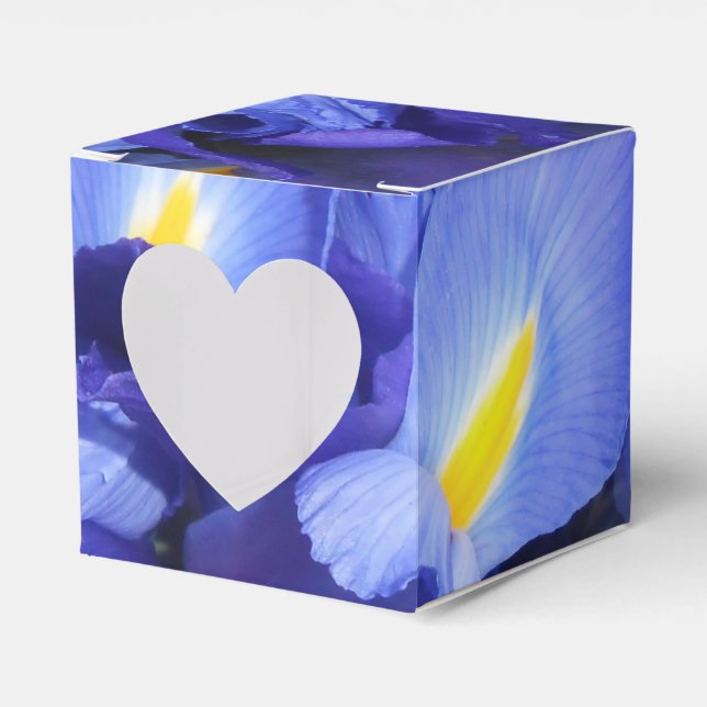 Caja Para Regalos Ermengarde (Anverso)
