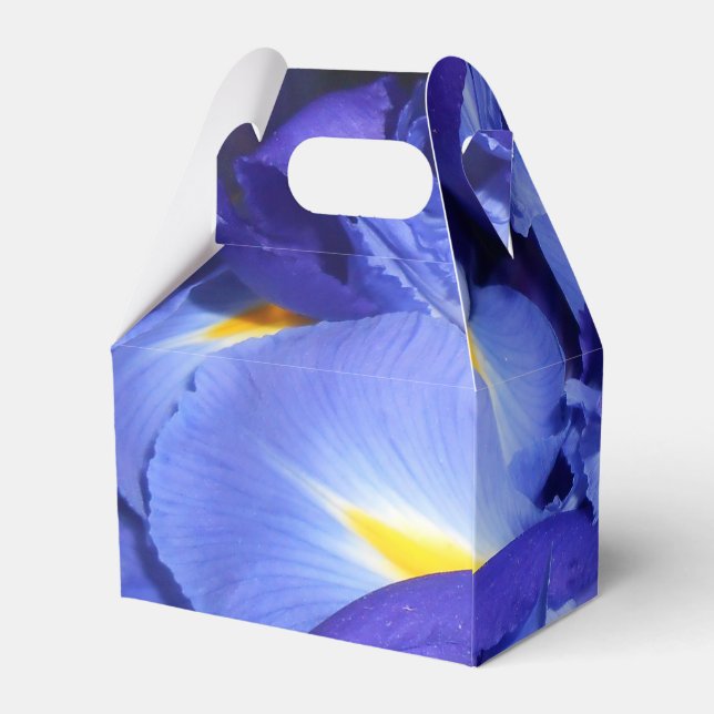 Caja Para Regalos Ermengarde (Reverso)