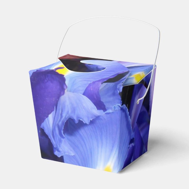 Caja Para Regalos Ermengarde (Front Side)