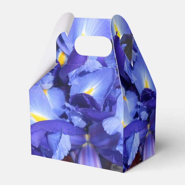 Caja Para Regalos Ermengarde (Front Side)