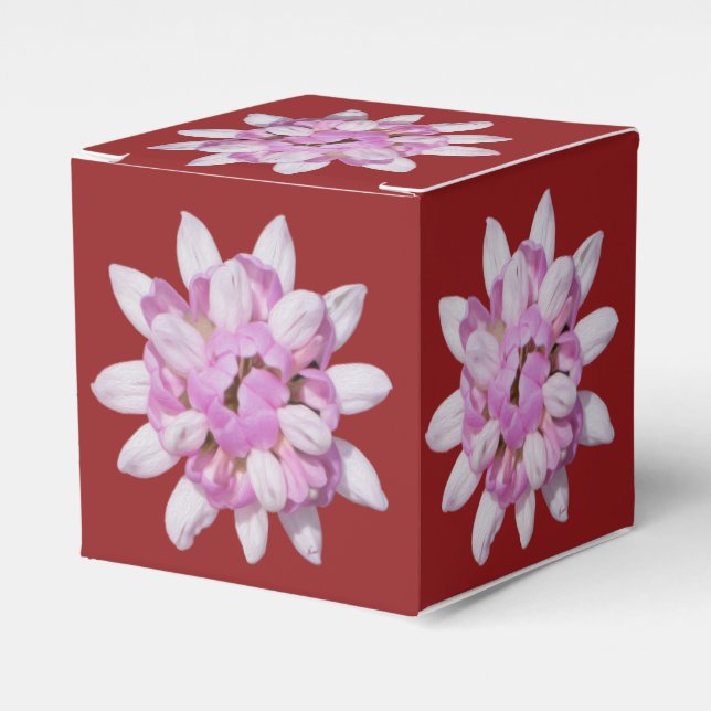 Caja Para Regalos Esbozo de la corona #1 (Costado Anverso)