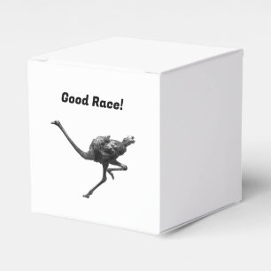 Caja Para Regalos Esbozo de tinta de avestruz en funcionamiento, art