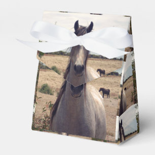 Caja Para Regalos Estrella el Pony árabe, caja de regalos