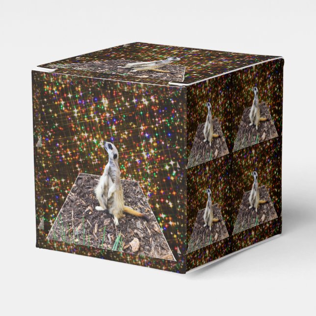 Caja Para Regalos Estrellas de Meerkat Twinkle, (Costado Anverso)